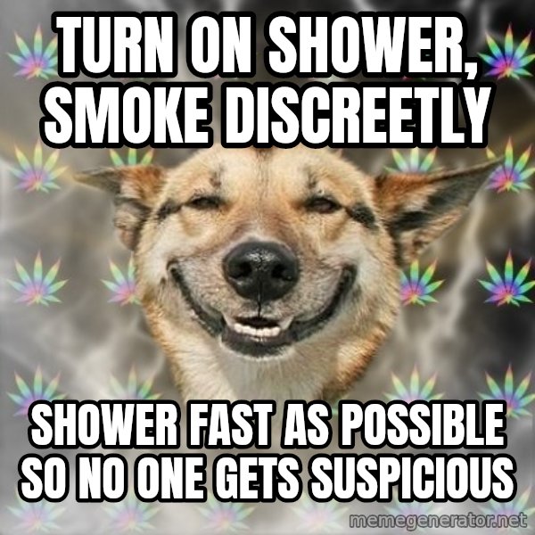 Stoner Dog meme: Turn on shower, smoke discreetly / shower fast as possible so no one gets suspicious