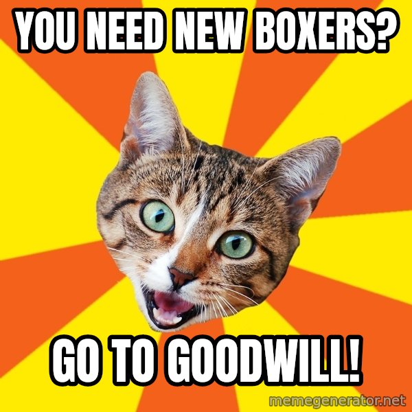 Bad Advice Cat meme: you need new boxers? / go to goodwill!