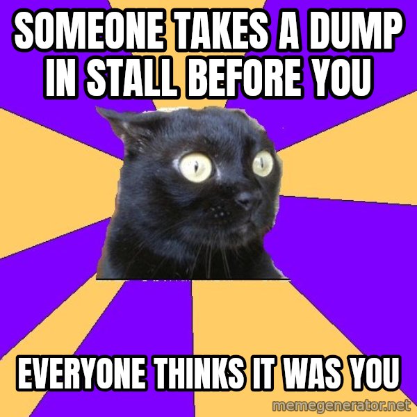 Anxiety Cat meme: someone takes a dump in stall before you / everyone thinks it was you