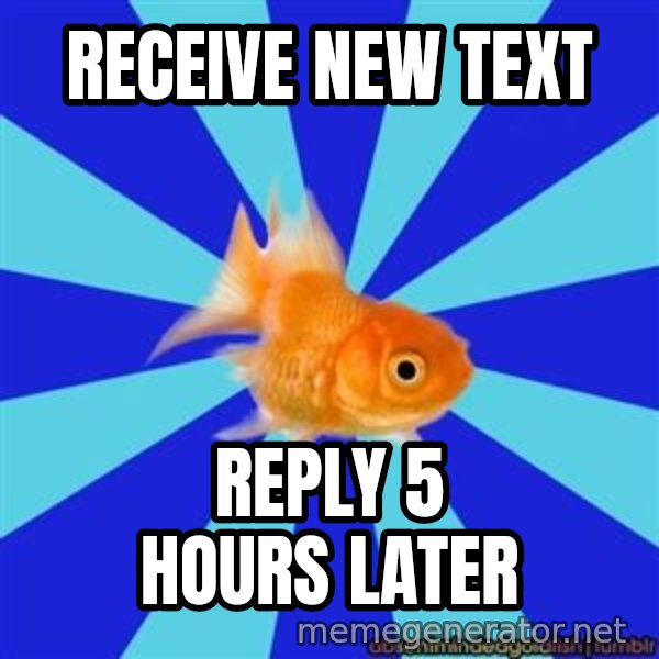 Absentminded Goldfish meme: receive new text / reply 5 hours later