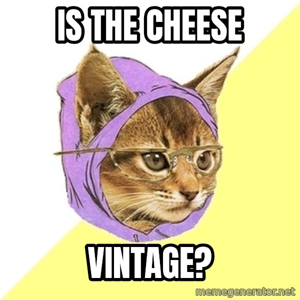 Hipster Kitty meme: Is the cheese / vintage?
