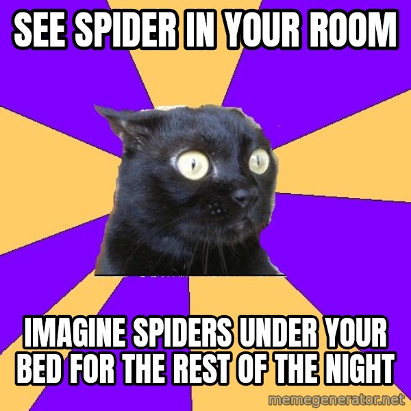 Anxiety Cat meme: See Spider in your room / IMAGINE SPIDERS Under your bed FOR THE REST OF THE NIGHT