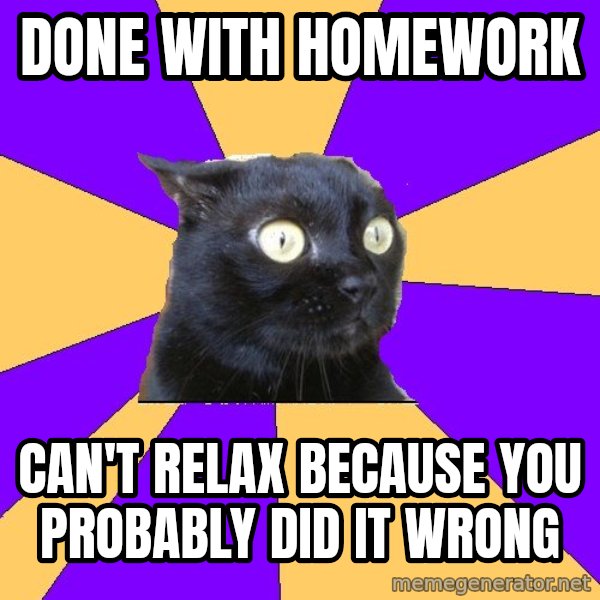 Anxiety Cat meme: DONE WITH HOMEWORK / CAN'T RELAX BECAUSE YOU PROBABLY DID IT WRONG