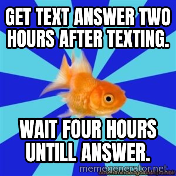 Absentminded Goldfish meme: get text aNSWER TWO HOURS AFTER TEXTING. / WAIT FOUR HOURS UNTILL ANSWER.