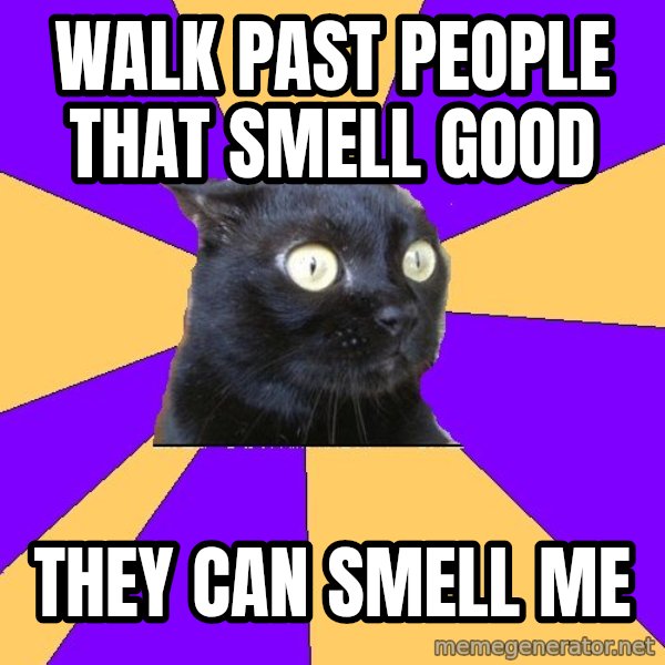 Anxiety Cat meme: WALK PAST PEOPLE THAT SMELL GOOD / THEY CAN SMELL ME