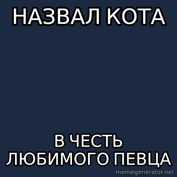 Musicnerdoctopus meme: назвал кота / в честь любимого певца