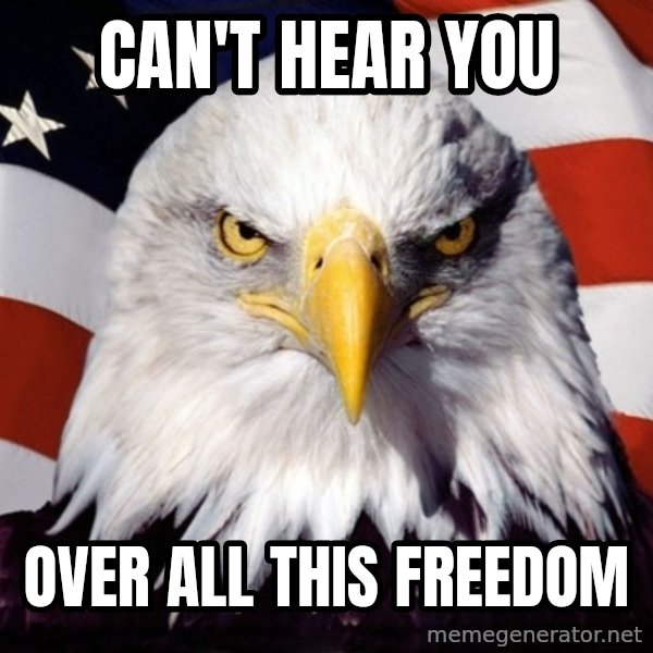 American Pride Eagle meme: can't hear you / over all this freedom