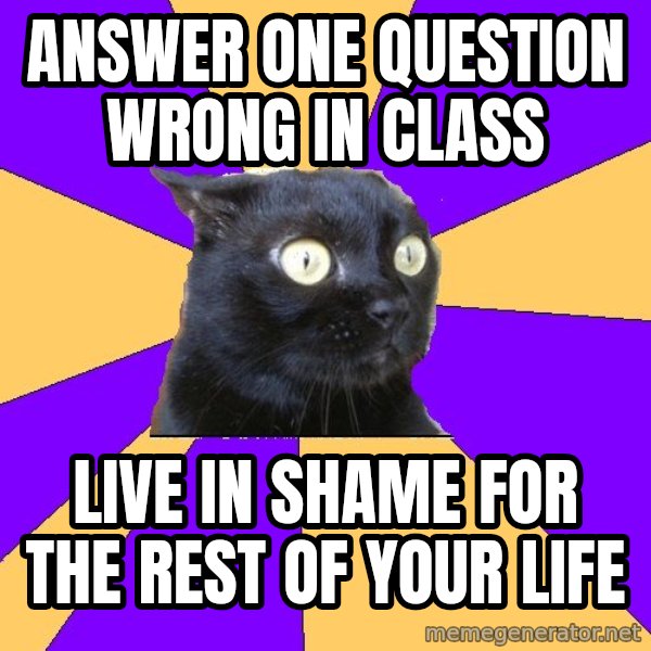 Anxiety Cat meme: answer one question wrong in class / live in shame for the rest of your life