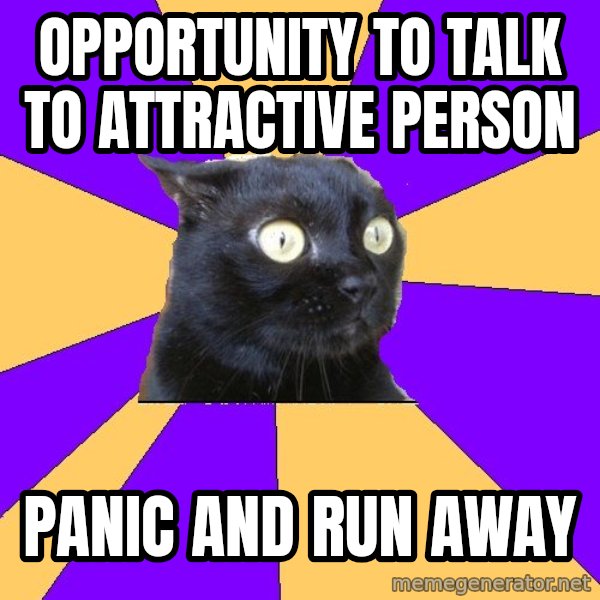 Anxiety Cat meme: Opportunity to Talk to Attractive Person / Panic and Run away