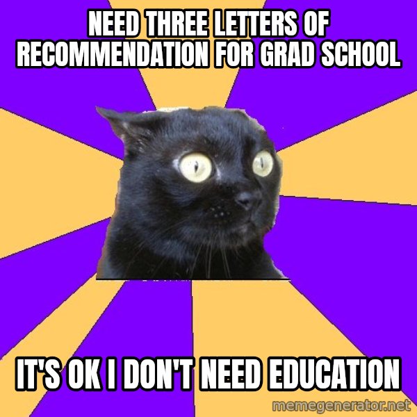 Anxiety Cat meme: Need three letters of recommendation for grad school / It's ok i don't need education