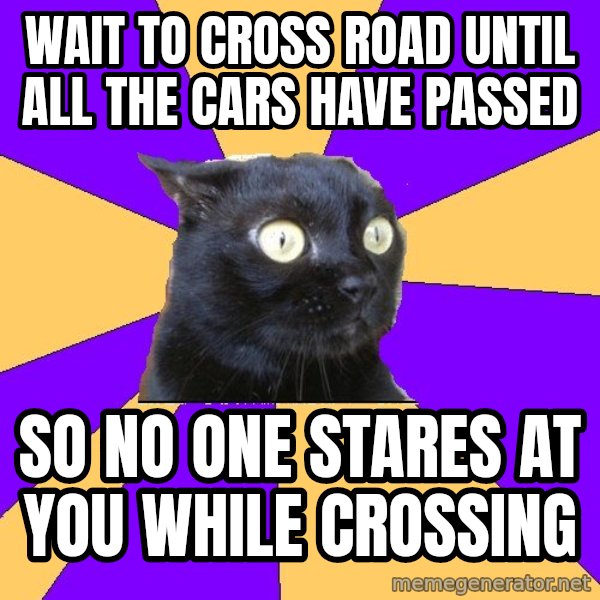 Anxiety Cat meme: Wait to cross Road until all the cars have passed / So no one stares at you while crossing