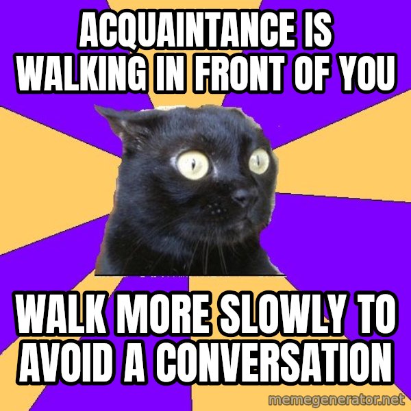 Anxiety Cat meme: acquaintance is walking in front of you / walk more slowly to avoid a conversation