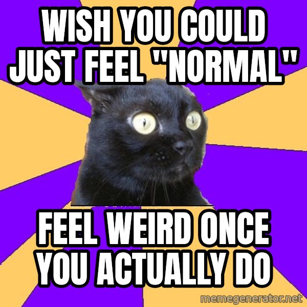 Anxiety Cat meme: wish you could just feel "Normal" / Feel weird once you actually do