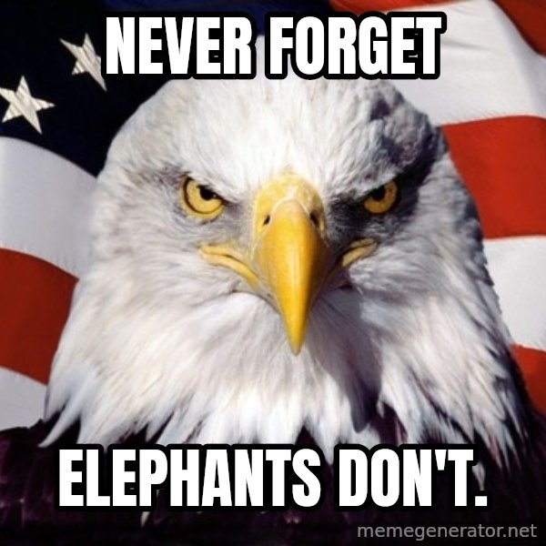 American Pride Eagle meme: NEVER FORGET / elephants don't.