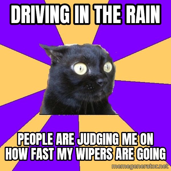Anxiety Cat meme: driving in the rain / people are judging me on how fast my wipers are going