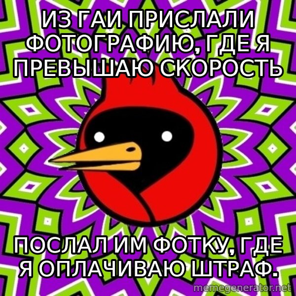 Omsk Crow meme: Из ГАИ прислали фотографию, где я превышаю скорость / Послал им фотку, где я оплачиваю штраф.