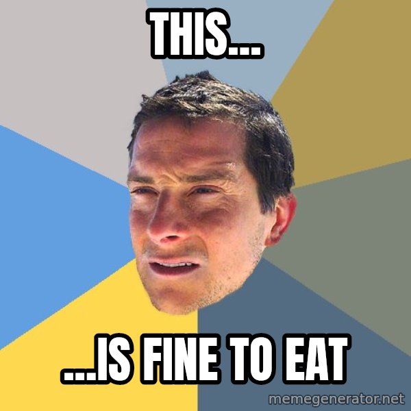 Bear Grylls meme: THIS... / ...is fine to eat