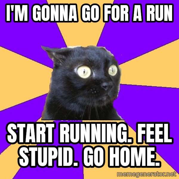 Anxiety Cat meme: I'm gonna go for a run / start running. feel stupid. go home.