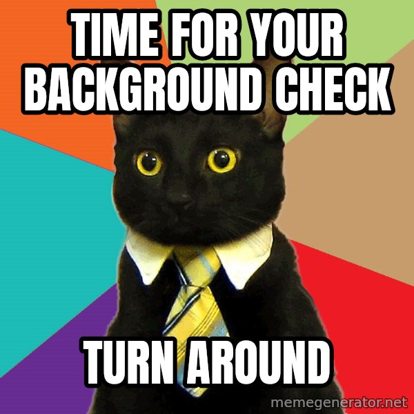 Business Cat meme: time for your background check / turn around