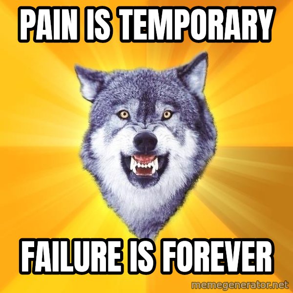 Courage Wolf meme: Pain is temporary / Failure is forever