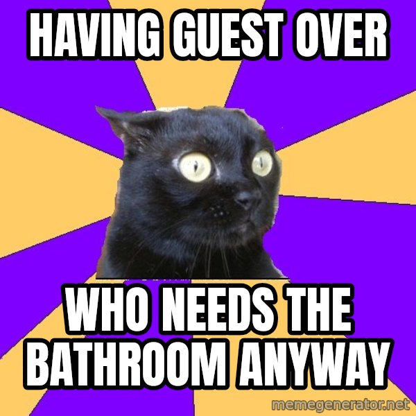 Anxiety Cat meme: Having guest over / who needs the bathroom anyway