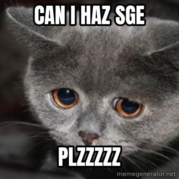 Sadcat meme: can i haz SGE / PLZZZZZ