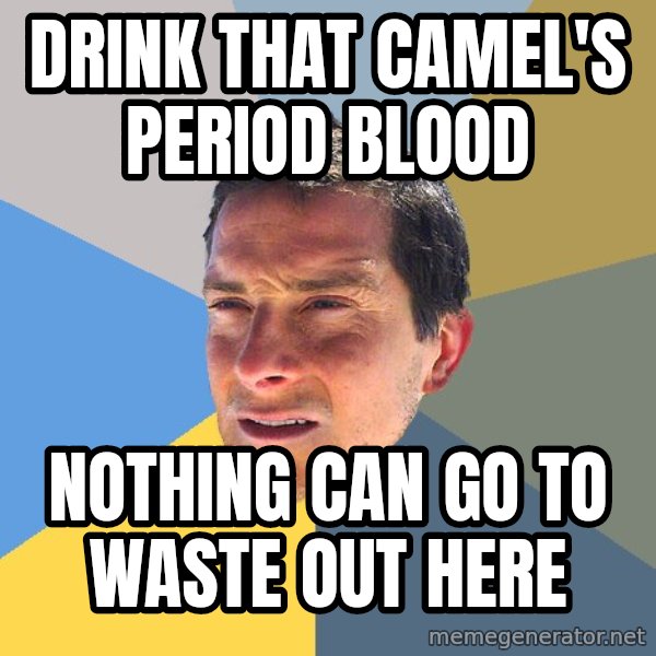 Bear Grylls meme: drink that camel's period blood / Nothing can go to waste out here