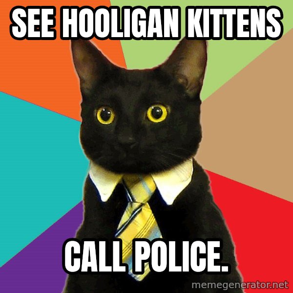 Business Cat meme: see hooligan kittens / call police.