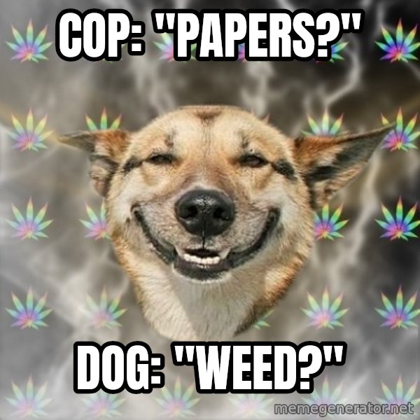 Stoner Dog meme: Cop: "Papers?" / DOG: "WEED?"