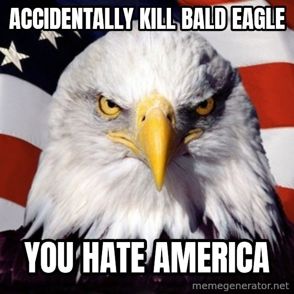 American Pride Eagle meme: accidentally kill bald eagle / you hate america