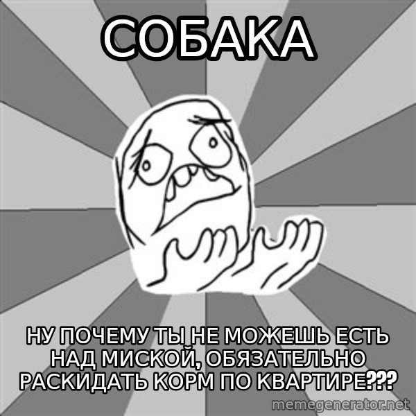 Whyyy??? meme: СОБАКА / НУ ПОЧЕМУ ТЫ НЕ МОЖЕШЬ ЕСТЬ НАД МИСКОЙ, ОБЯЗАТЕЛЬНО РАСКИДАТЬ КОРМ ПО КВАРТИРЕ???