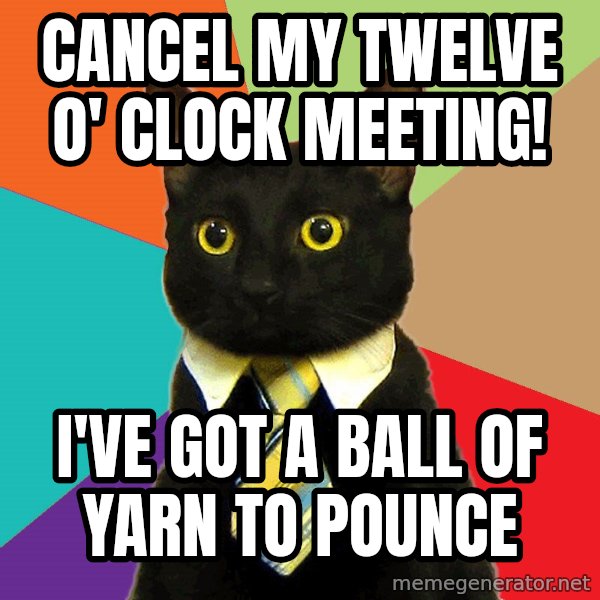 Business Cat meme: cancel my twelve o' clock meeting! / i've got a ball of yarn to pounce