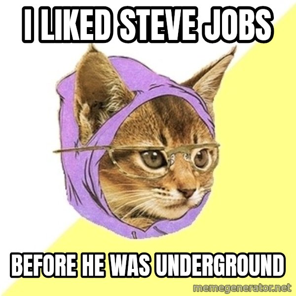 Hipster Kitty meme: I Liked Steve Jobs / Before he was underground