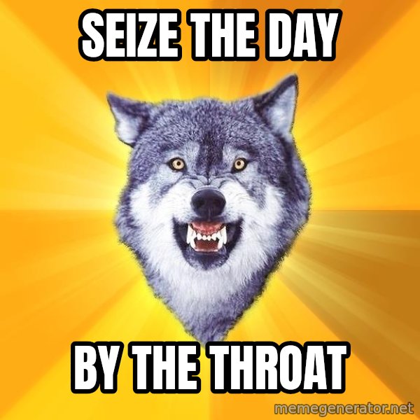 Courage Wolf meme: Seize The DAY / BY THE THROAT