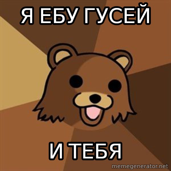Pedobear meme: Я ебу гусей / И тебя