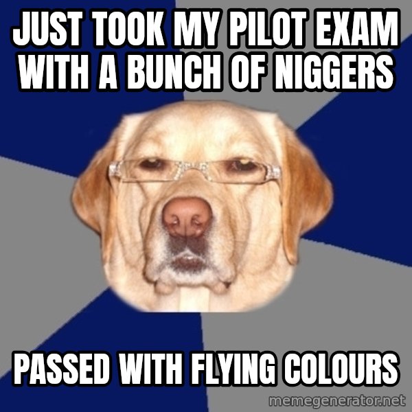 Racist Dog meme: just took my pilot exam with a bunch of niggers / passed with flying colours