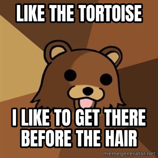 Pedobear meme: LIKE THE TORTOISE / I LIKE TO GET THERE BEFORE THE HAIR