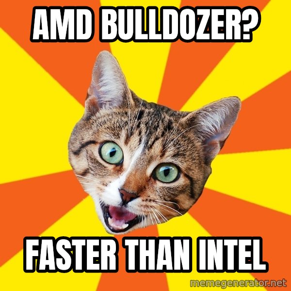 Bad Advice Cat meme: amd bulldozer? / faster than intel