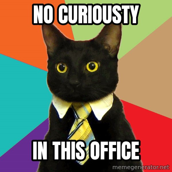 Business Cat meme: no curiousty / in this office