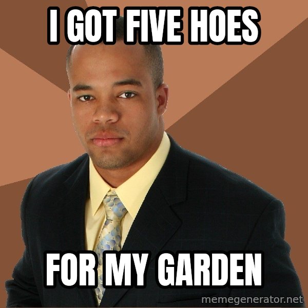Successful Black Man meme: i got five hoes / for my garden