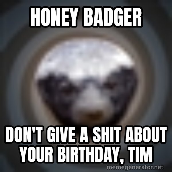 Fearless Honeybadger meme: Honey badger / don't give a shit about your birthday, tim