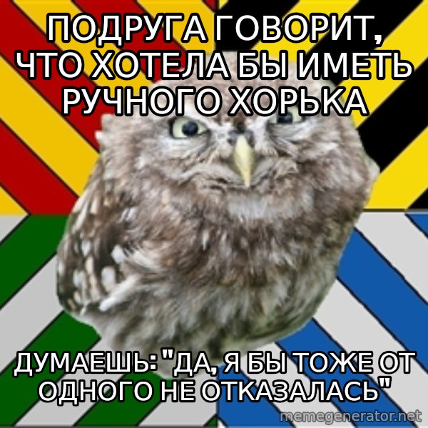 JEALOUS POTTEROMAN meme: ПОДРУГА ГОВОРИТ, ЧТО ХОТЕЛА БЫ ИМЕТЬ РУЧНОГО ХОРЬКА / думаешь: "да, я бы тоже от одного не отказалась"