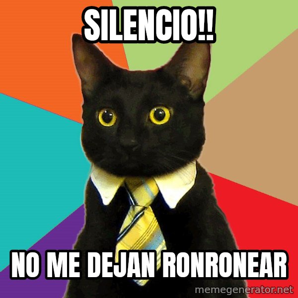 Business Cat meme: silencio!! / no me dejan ronronear