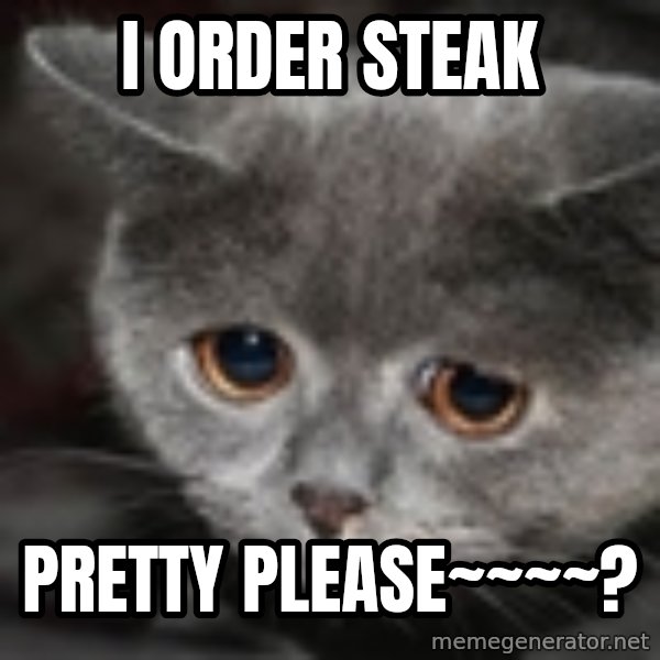 sad cat meme: i order steak / pretty please~~~~?