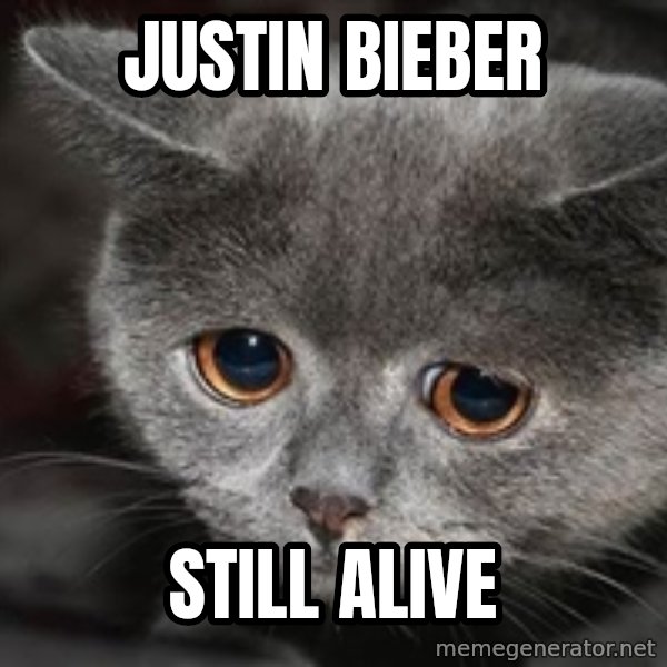 Sadcat meme: justin bieber / still alive