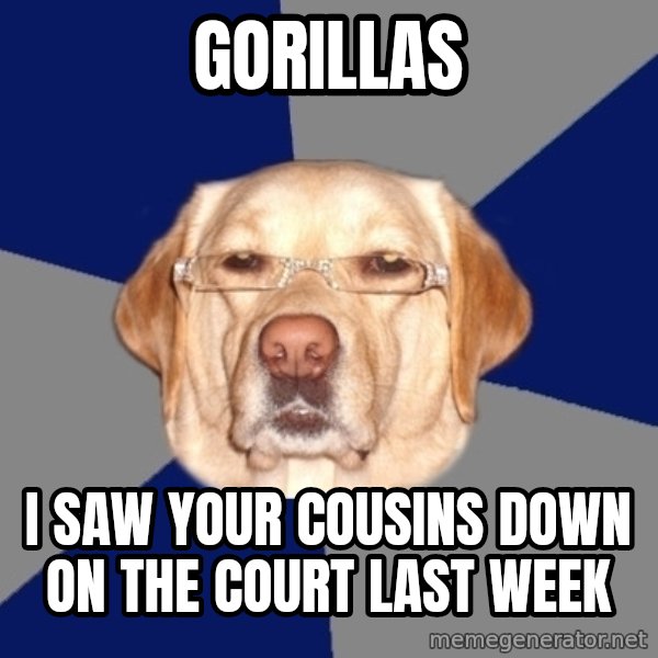 Racist Dawg meme: gorillas / i saw your cousins down on the court last week