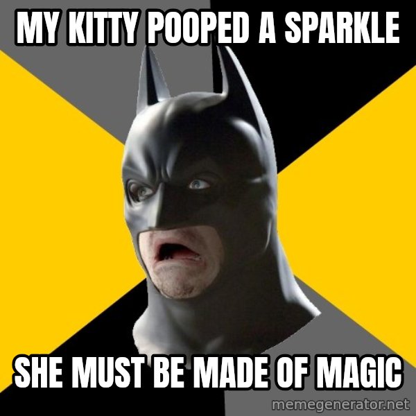 Bad Factman meme: My kitty pooped a sparkle / She must be made of magic
