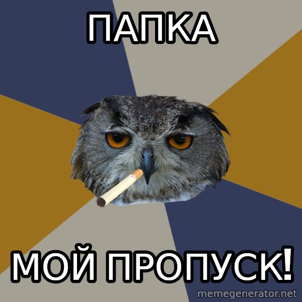 Art Student Owl meme: ПАПКА / МОЙ ПРОПУСК!