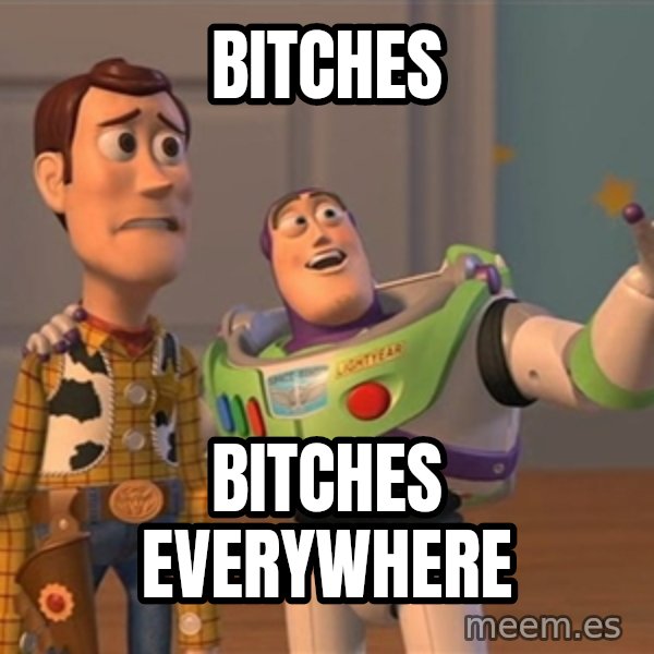 Anonymous, Anonymous Everywhere meme: Bitches / Bitches everywhere