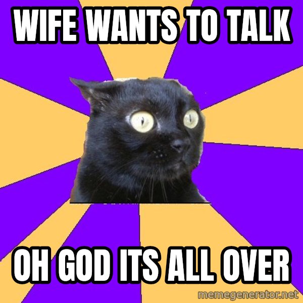 Anxiety Cat meme: wife wants to talk / oh god its all over